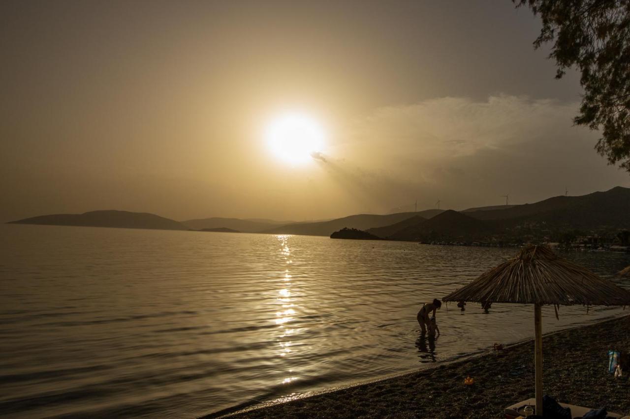 Seaside Apartments Aliki  Екстер'єр фото